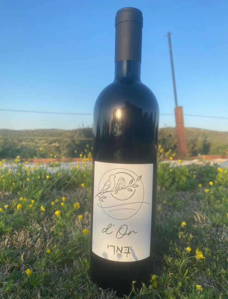 דוברות בארי 