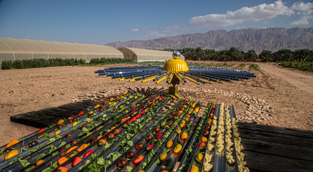 חמשת החושים - קרדיט חגית גל