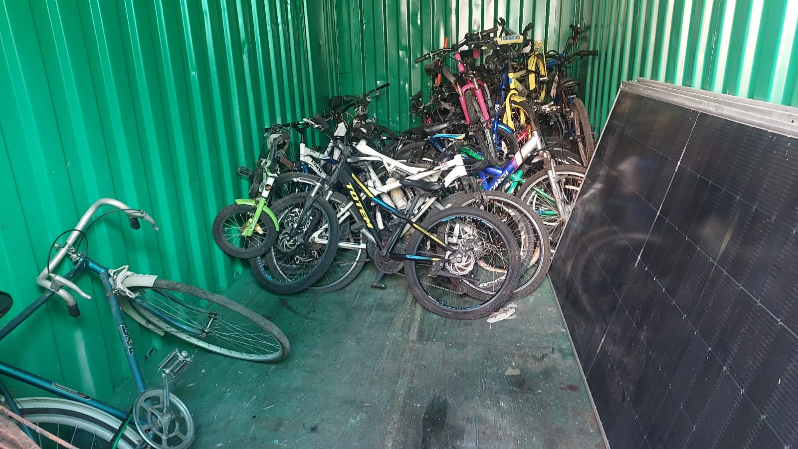 חורשת הבנים ערוגות