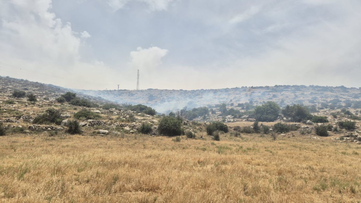 דוברות משטרה 