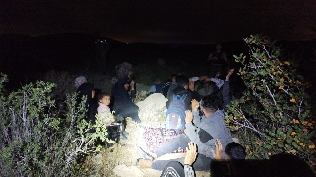 דוברות משטרה 