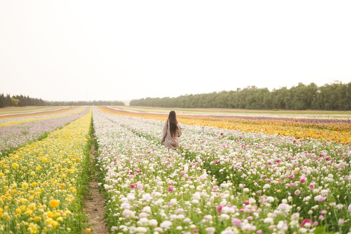 ניר יצחק באדיבות הקיבוץ 