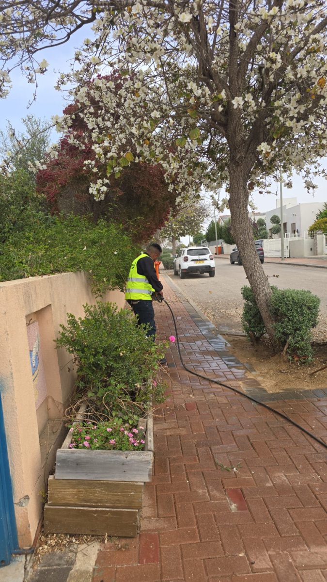 דוברות חוף אשקלון 