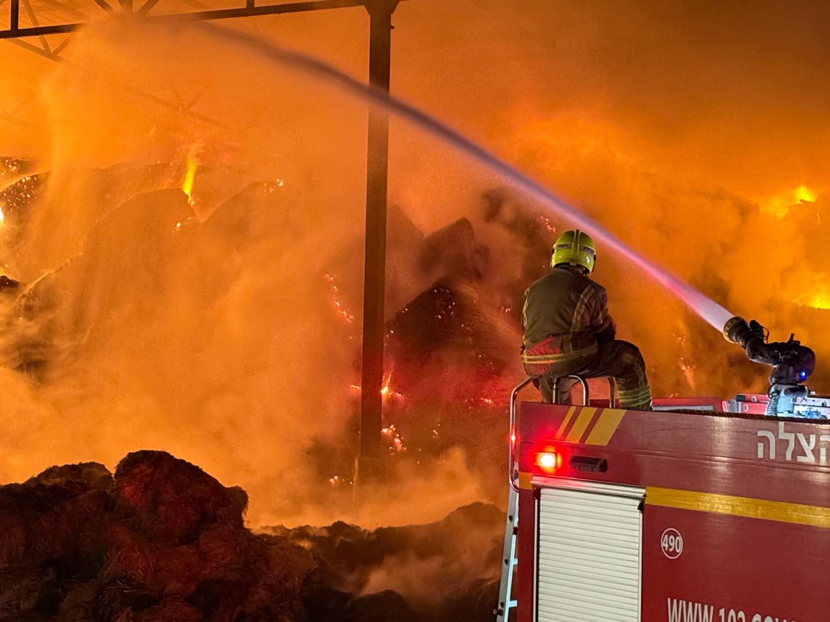 צילום יענקלה קליין