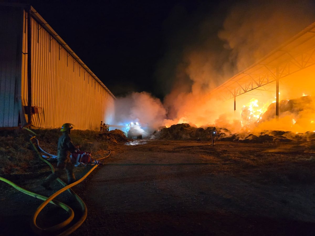 צילום חענקלה קליין