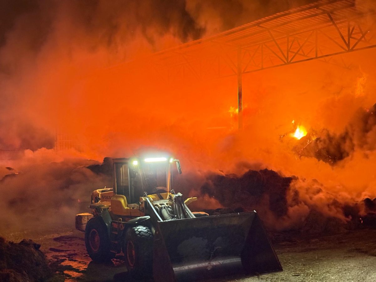 צילום יענקלה קליין