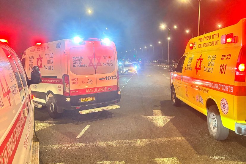 צילום: דוברות מד&quot;א