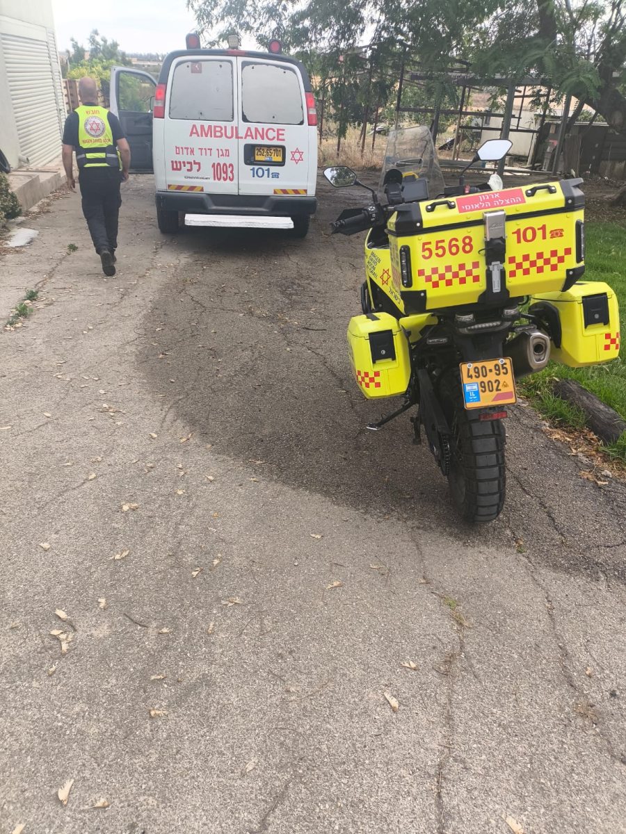 דוברות מדא הצלה דרום