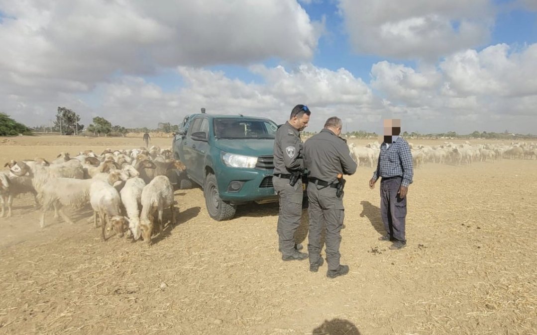 דוברות משטרה