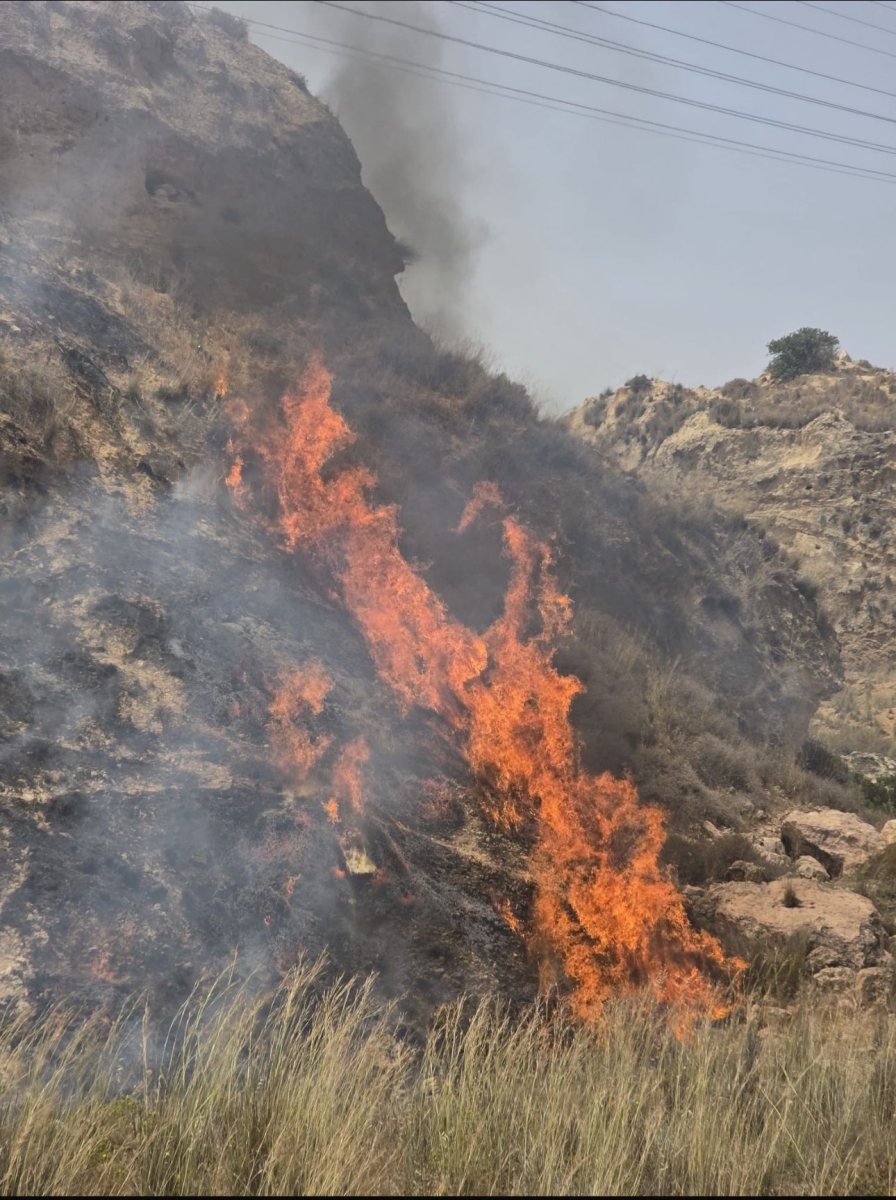 שריפה ביער חרובית כבה מחוז,דרום