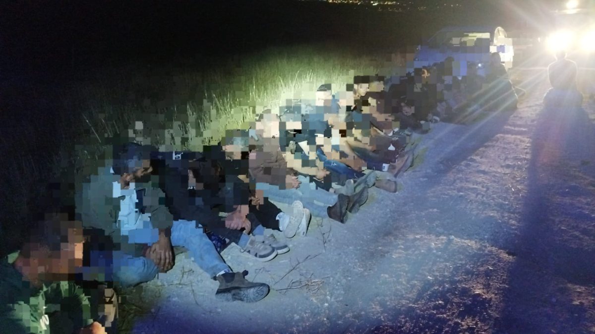 דוברות משטרה