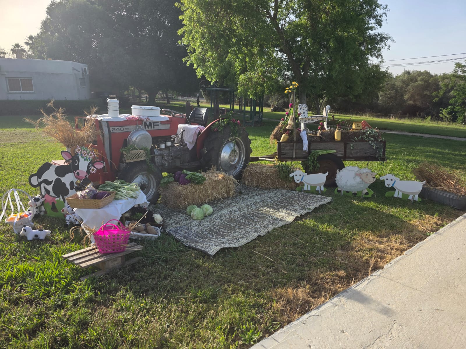 גן הכוכבים של אלה מושב נגה