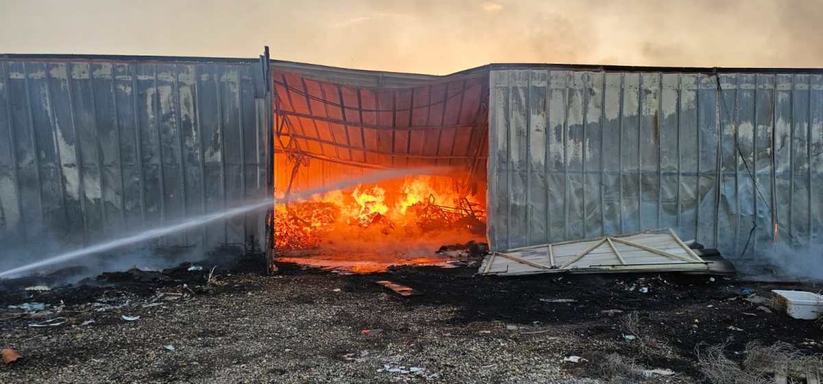 צילום מתן שרף