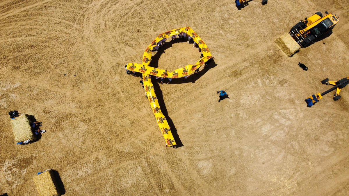 צילום עופר סבן