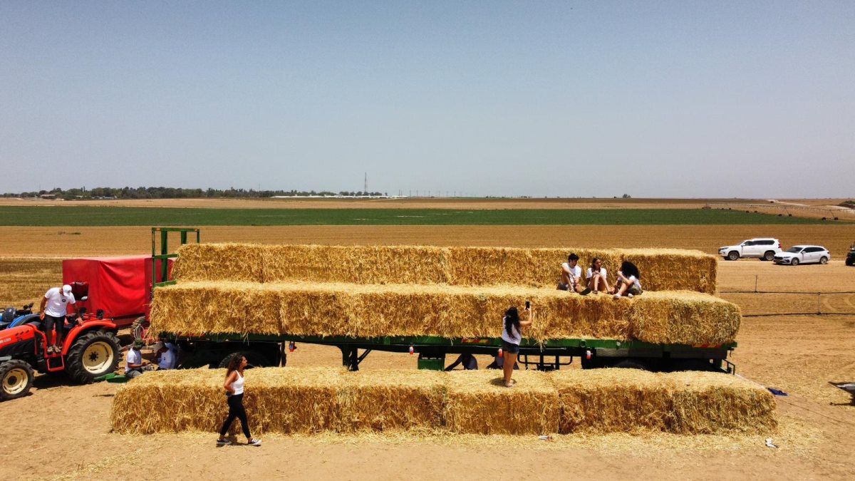ניר עוז צילום עןפר סבן