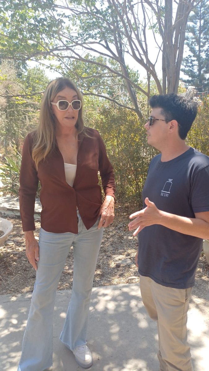 דוברות בארי