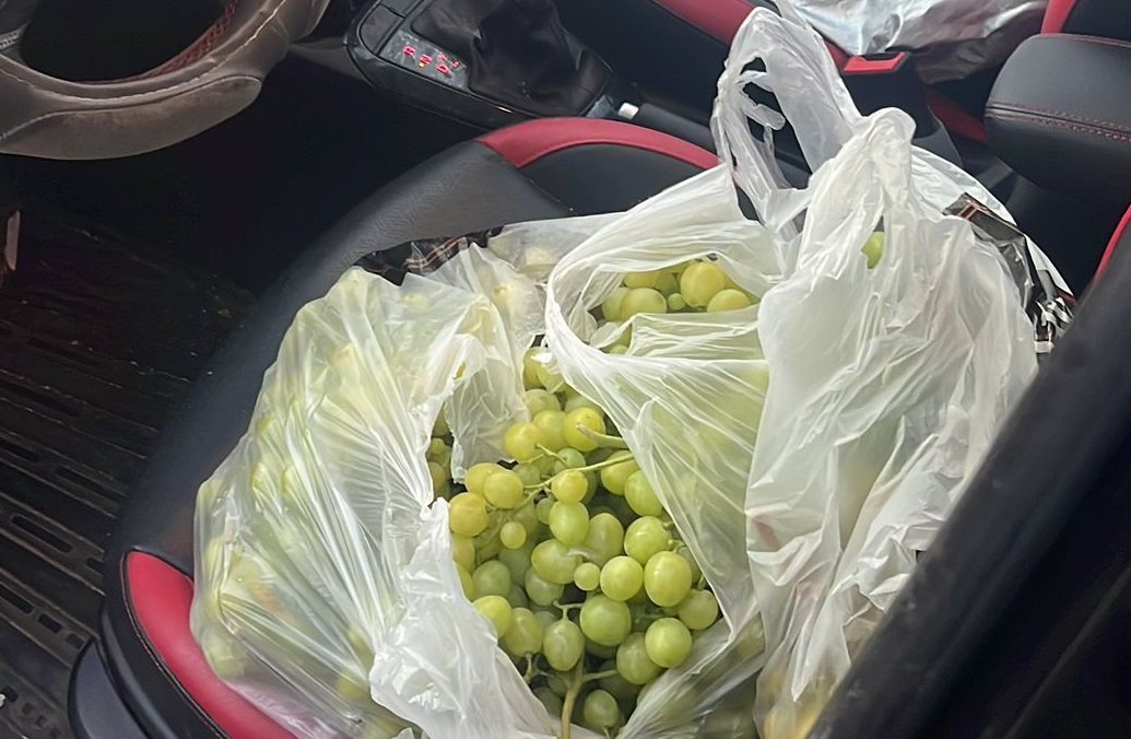 דוברות משטרה