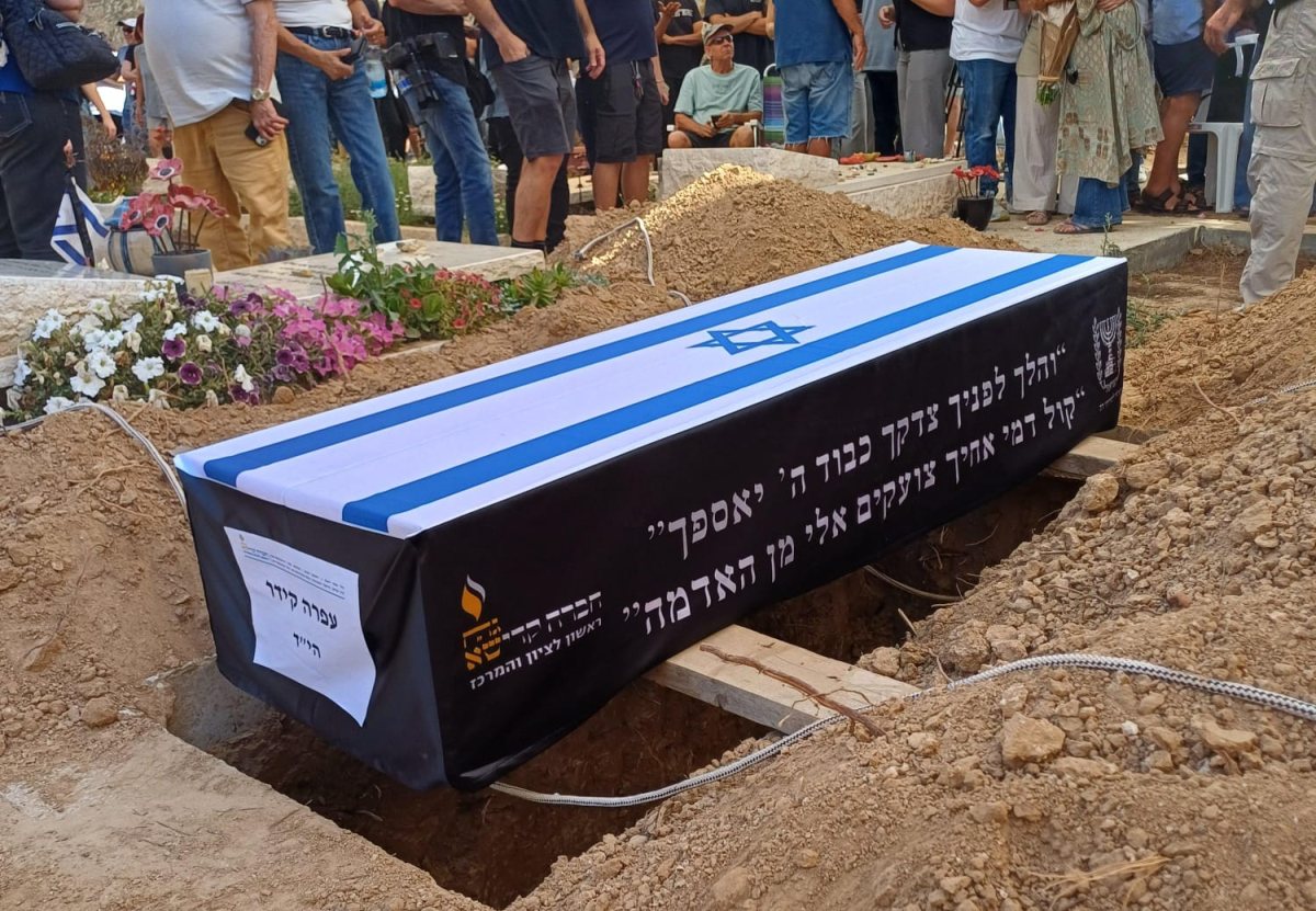 דוברות בארי