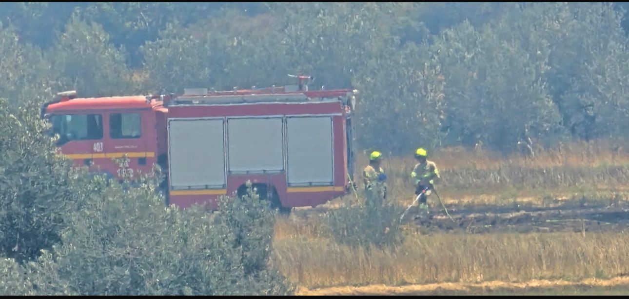 קרדיט לצילום: מתן שרף תיעוד מבצעי כב״ה.