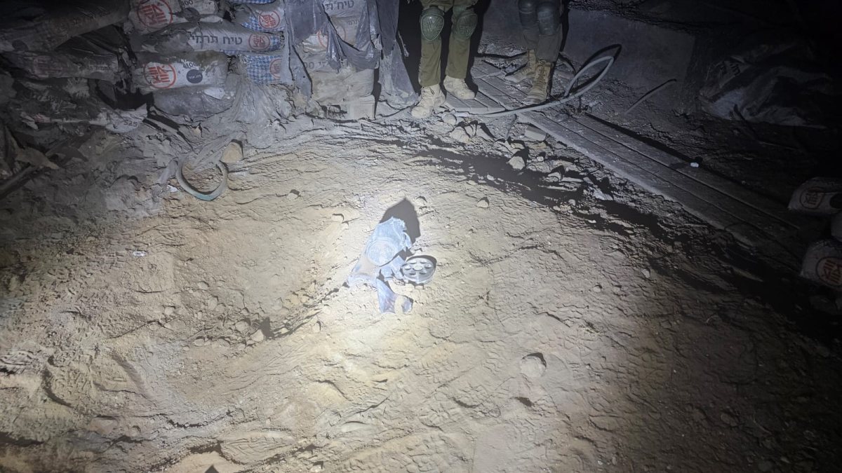 דוברות אשכול 