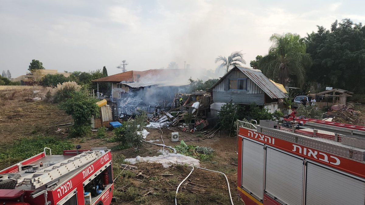 צילום גיא טל