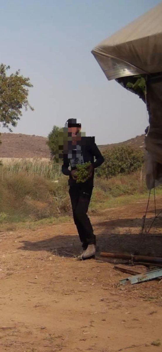 דוברות משטרה