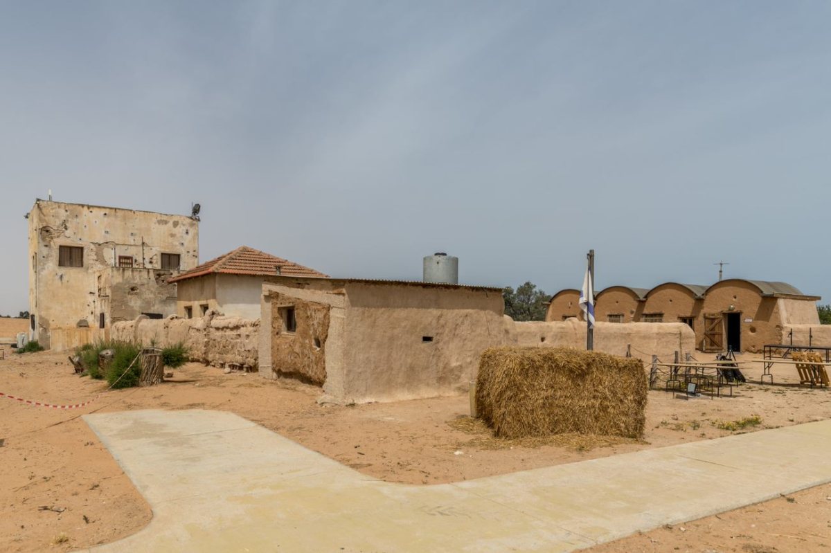 מצפה גבולות 1 צבי הנרי כהן