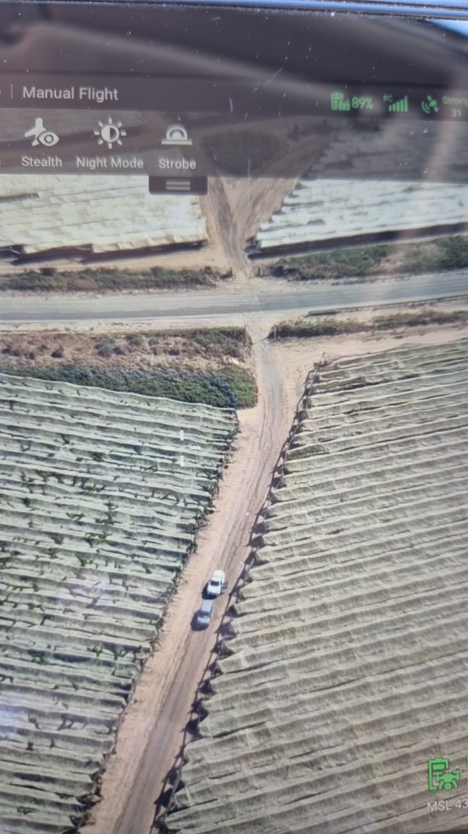 דוברות משטרה 