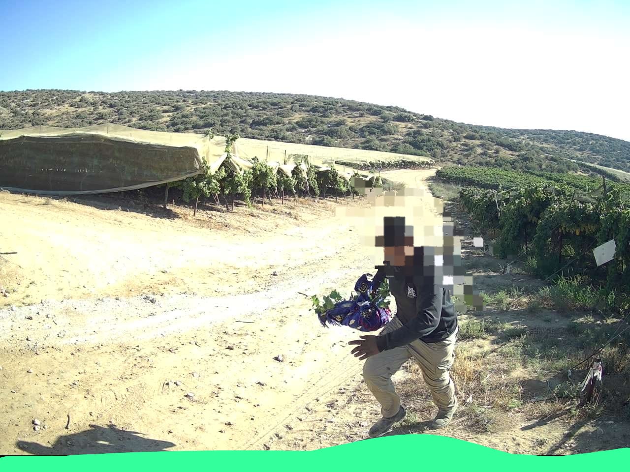 דוברות משטרה 