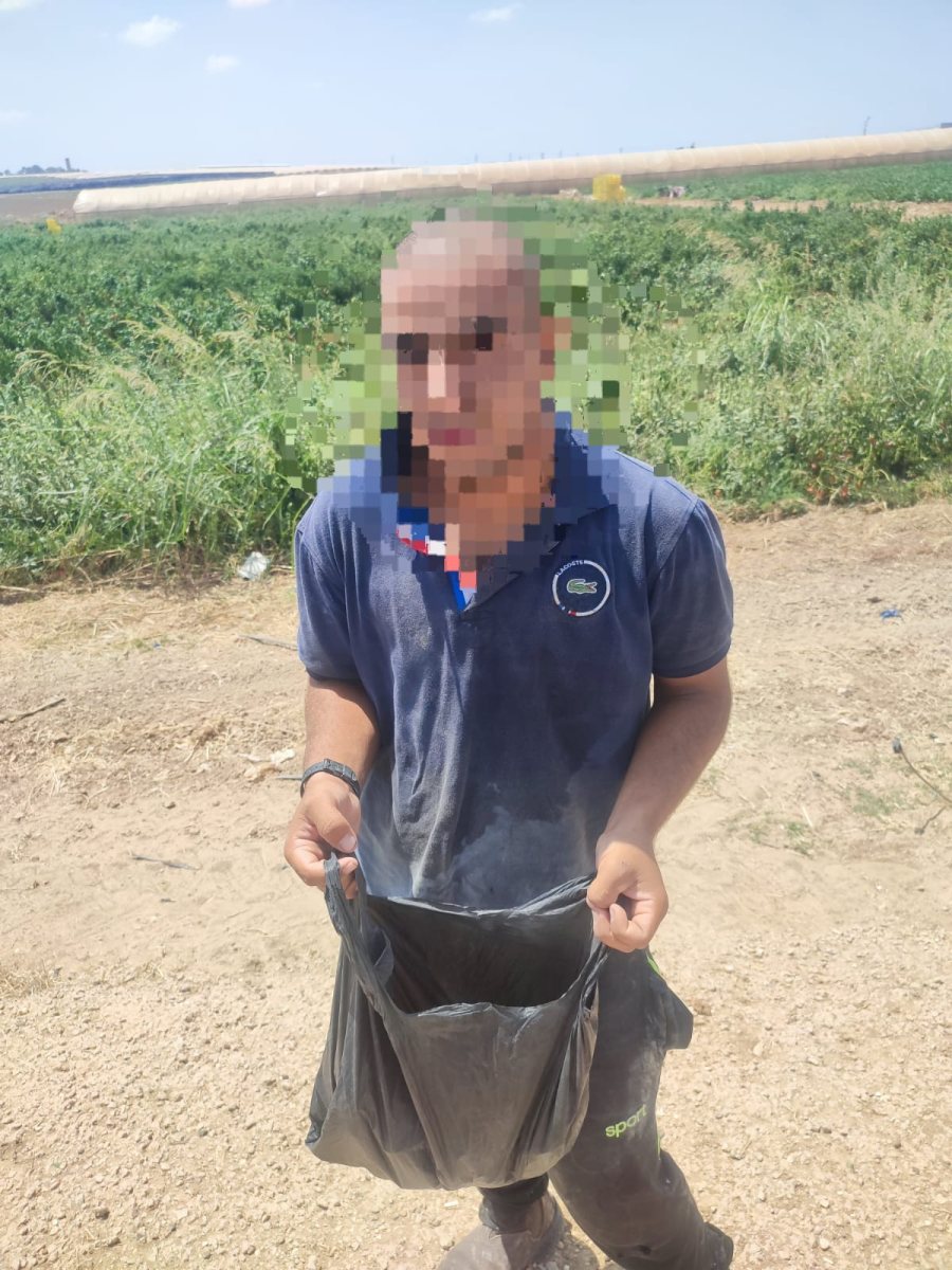 דוברות משטרה 