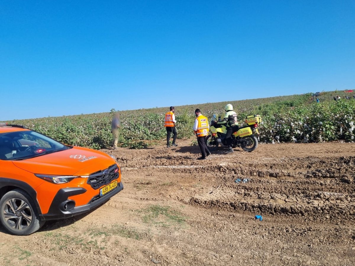 דוברות איחוד הצלה