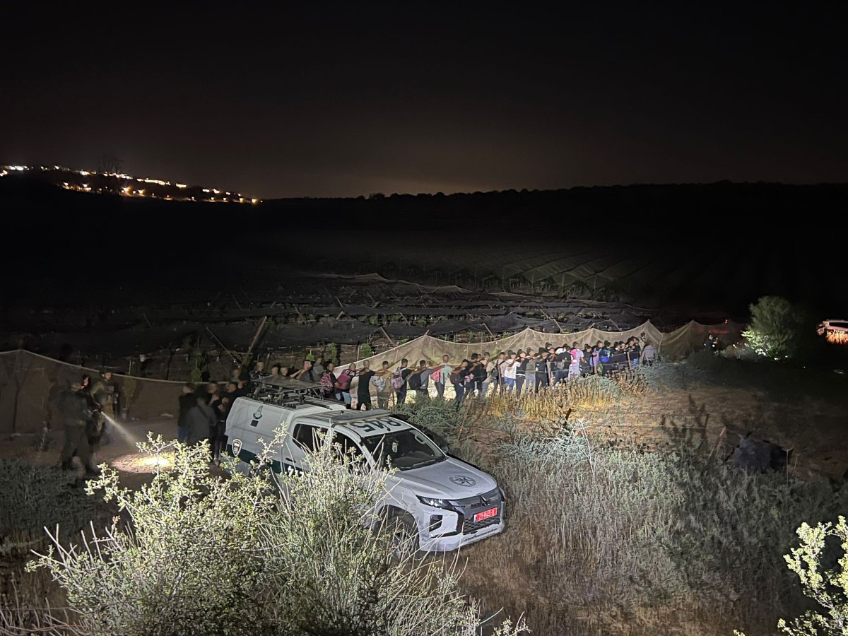 דוברות משטרה 