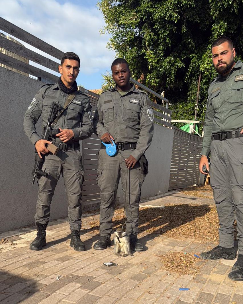 דוברות משטרה