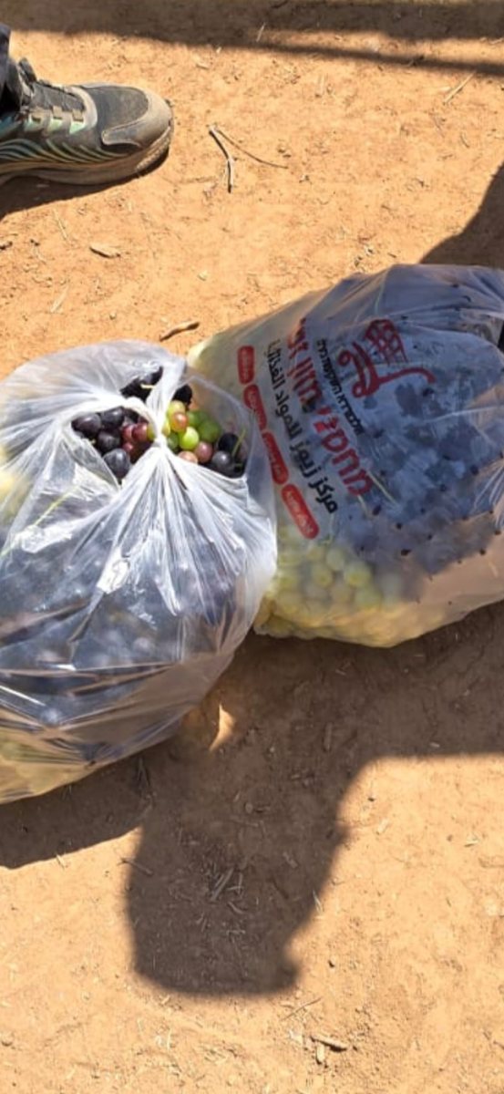 דוברות משטרה