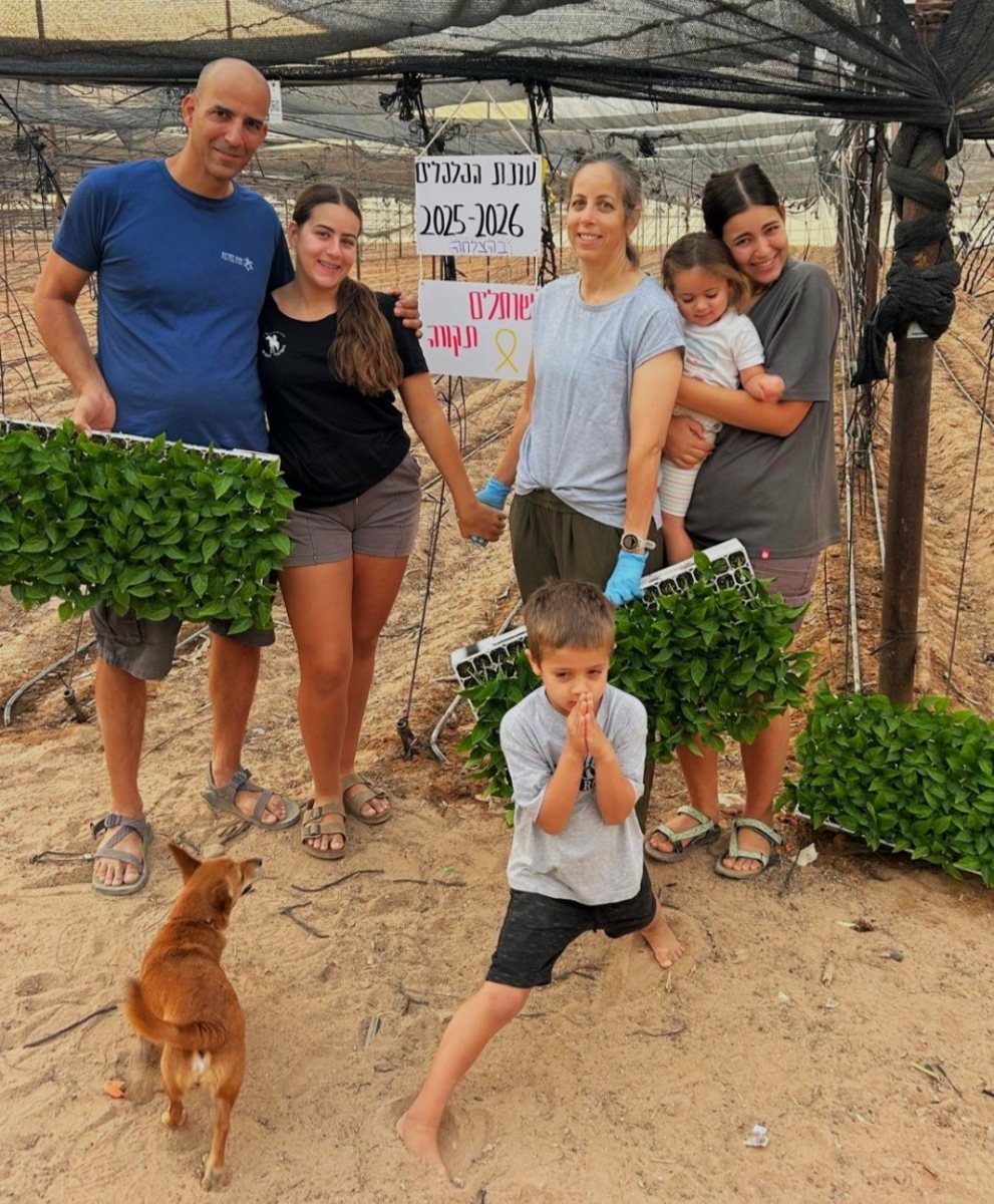 שתילות פלפל במשק גנות, מושב פארן, בערבה התיכונה