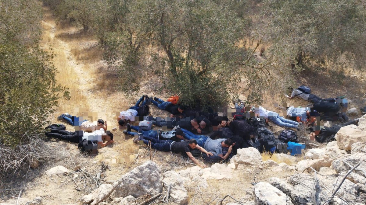 דוברות משטרה 