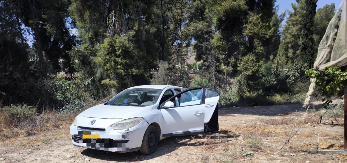 דוברות משטרה 