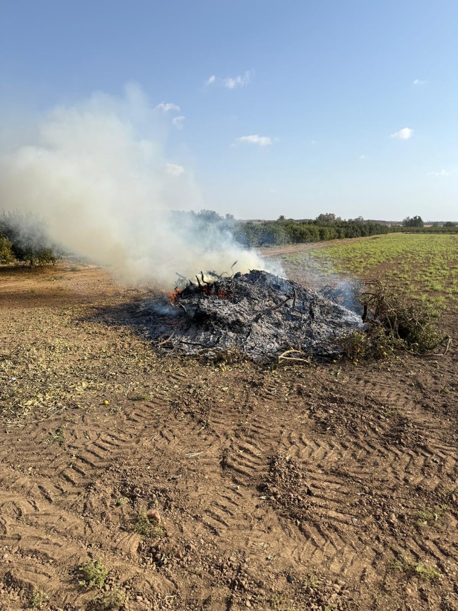 תלמים דוברות משטרה 