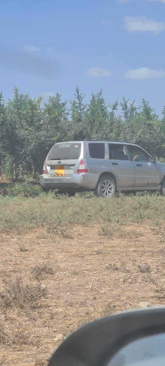 שדה משה דוברות משטרה 