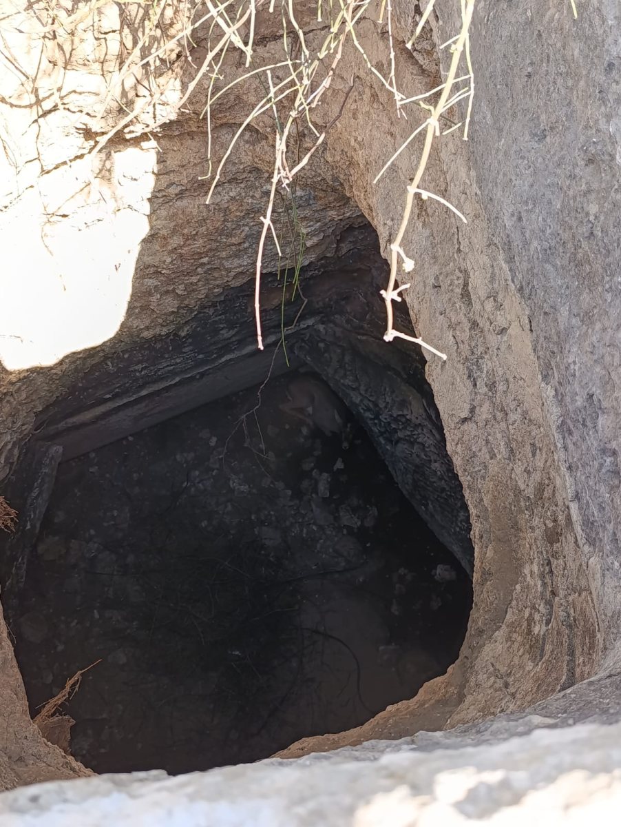 צילום דוברות כבה 