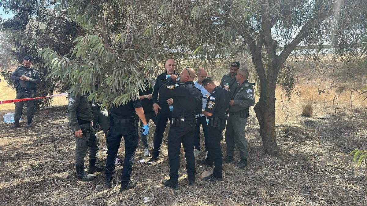 דוברות משטרה 