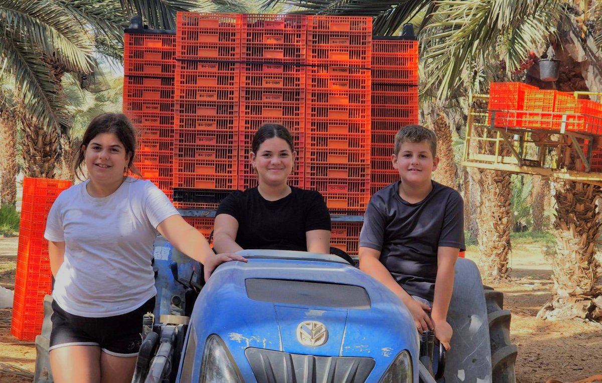 גדיד תמרים בערבה התיכונה  - עומר וליאור (12), וגיא (10) - קרדיט צילום אורן קורין (1)