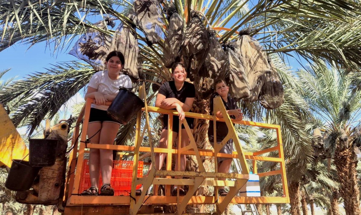  בערבה התיכונה - עומר וליאור (13), וגיא (10) - קרדיט צילום אורן קורין