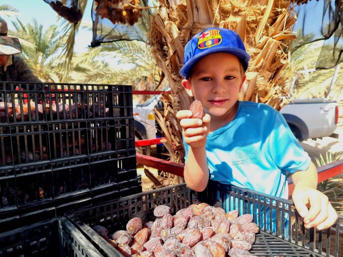 עידו (6.5) - גדיד תמרים בערבה התיכונה - קרדיט צילום הילי בלוך