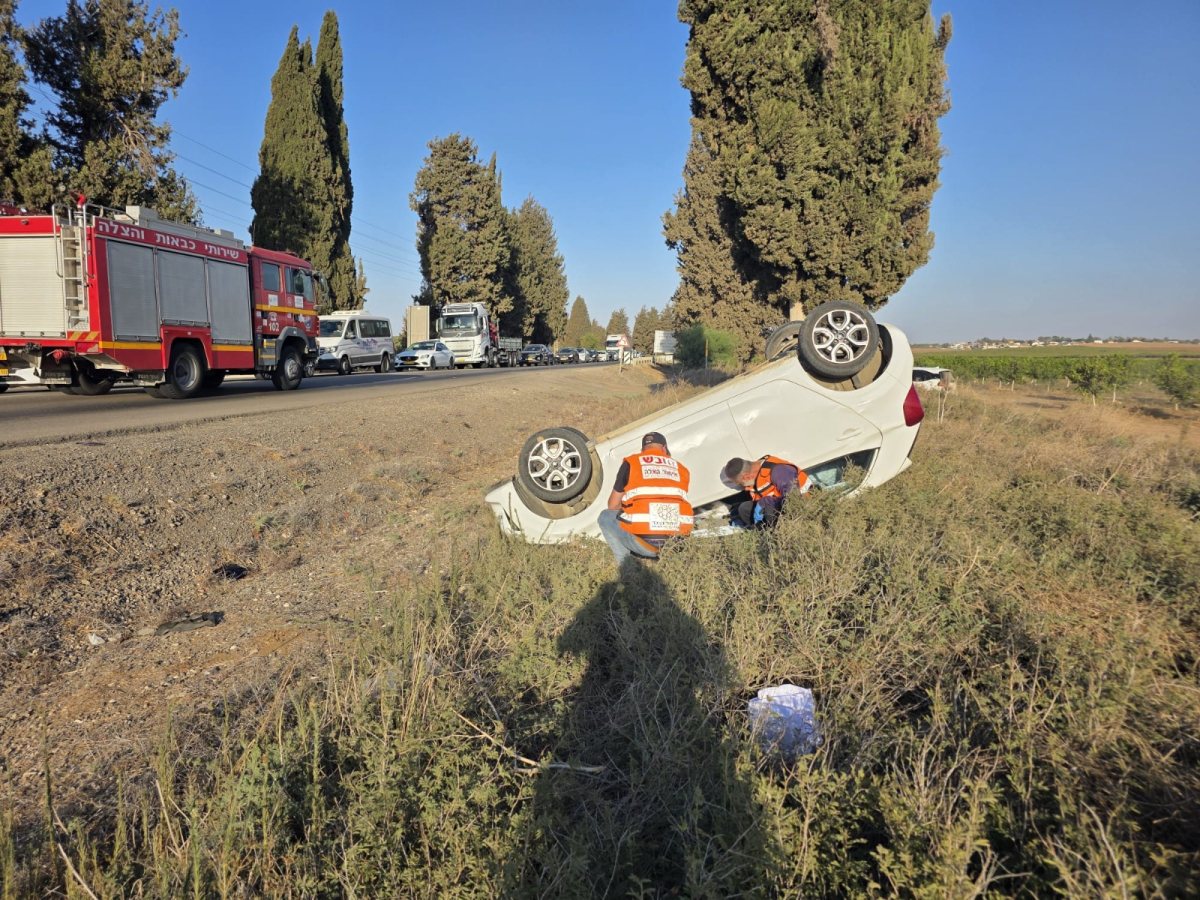 דוברות איחוד הצלה 