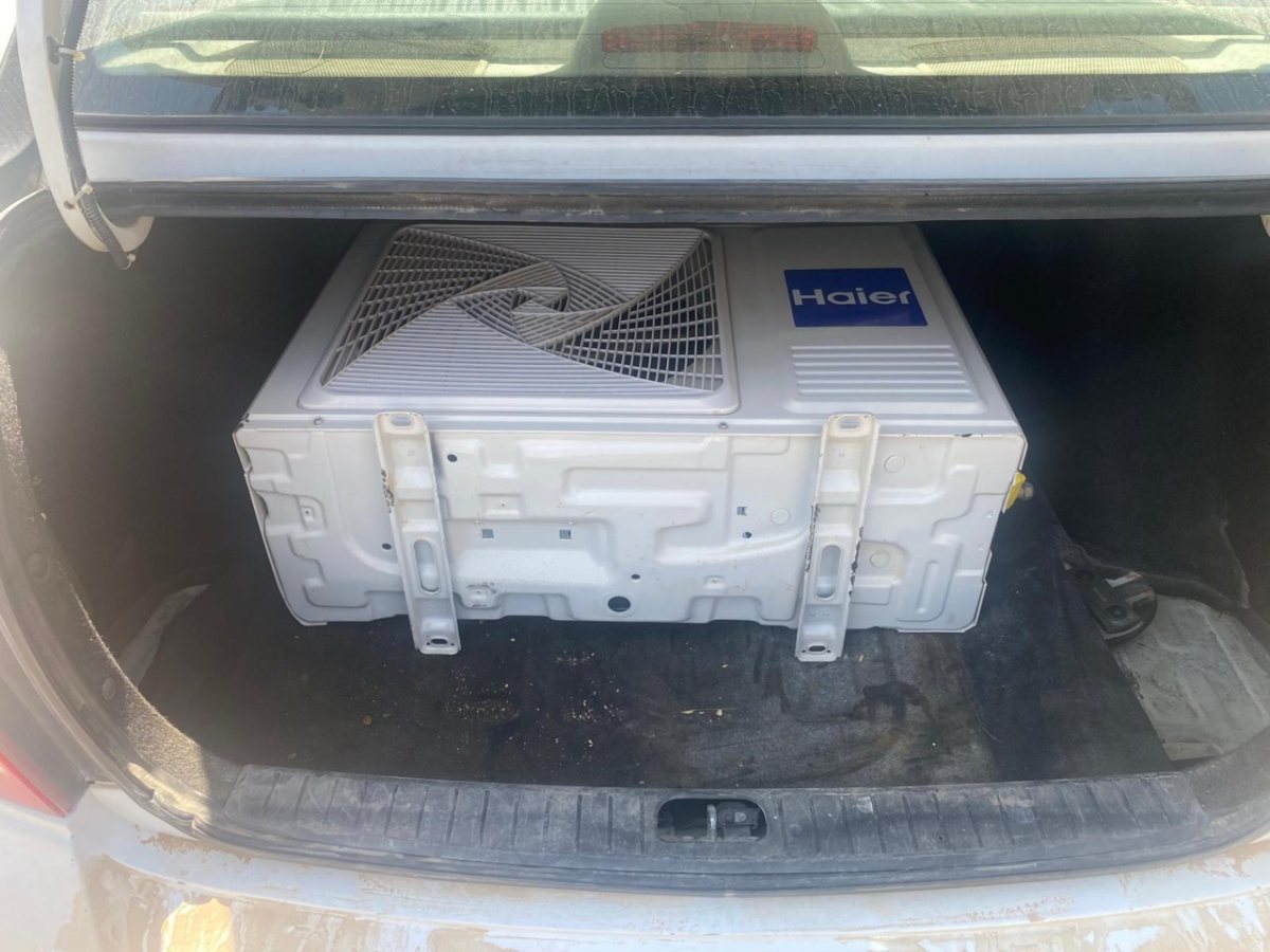 קרדיט: שי שקורי