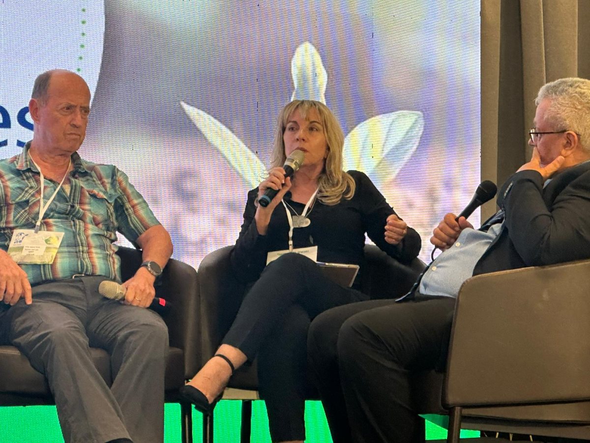 צילום איקי מימון