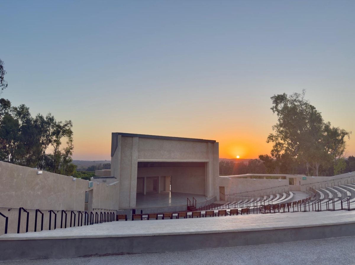 בוני שיינמן, ארכיון הצילומים קק״ל