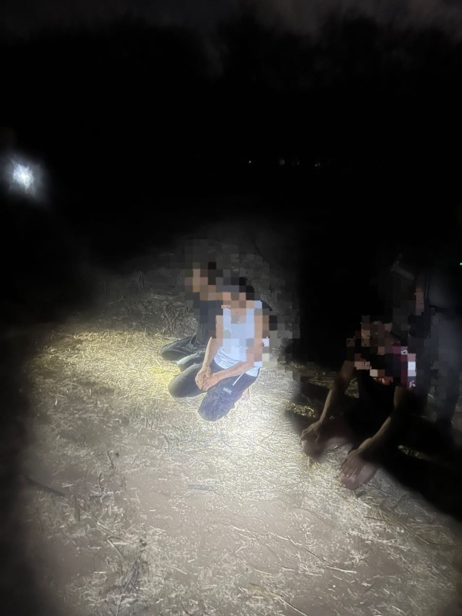 דוברות משטרה