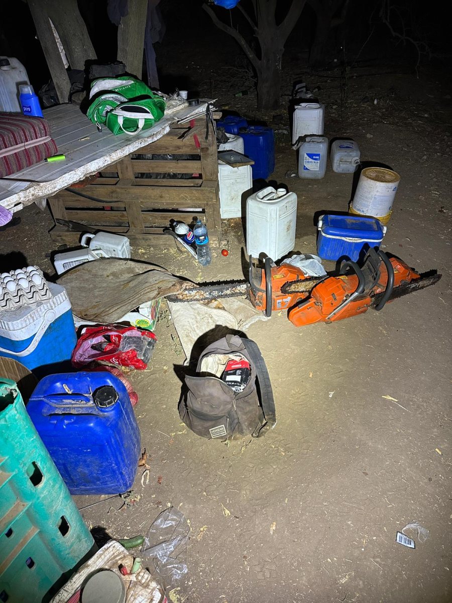 דוברות משטרה